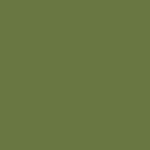 FX0612 Olive