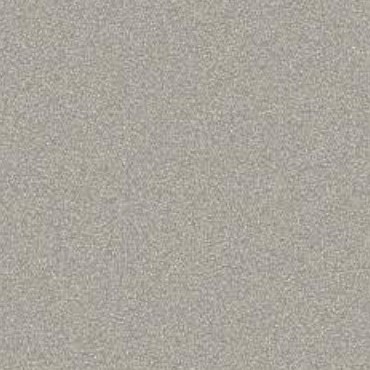 US9205 Champagne