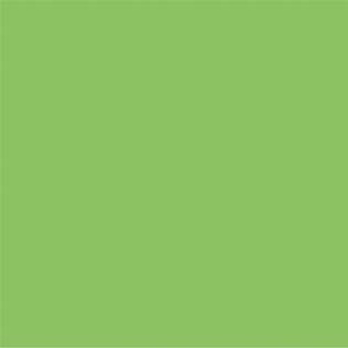 PG544 Bright Green