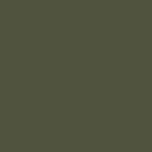 UN6003 Olive Green