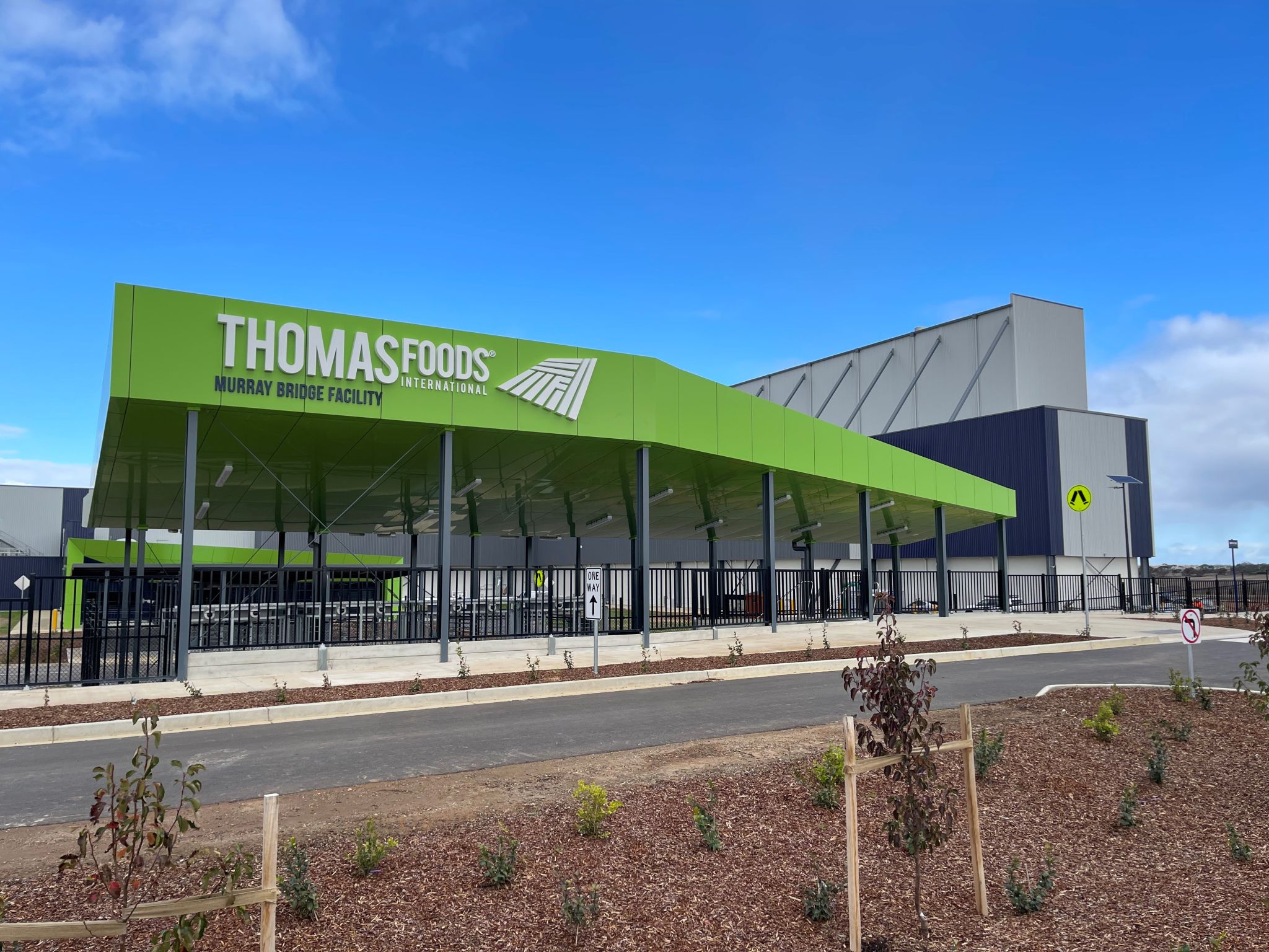 Thomas Foods International